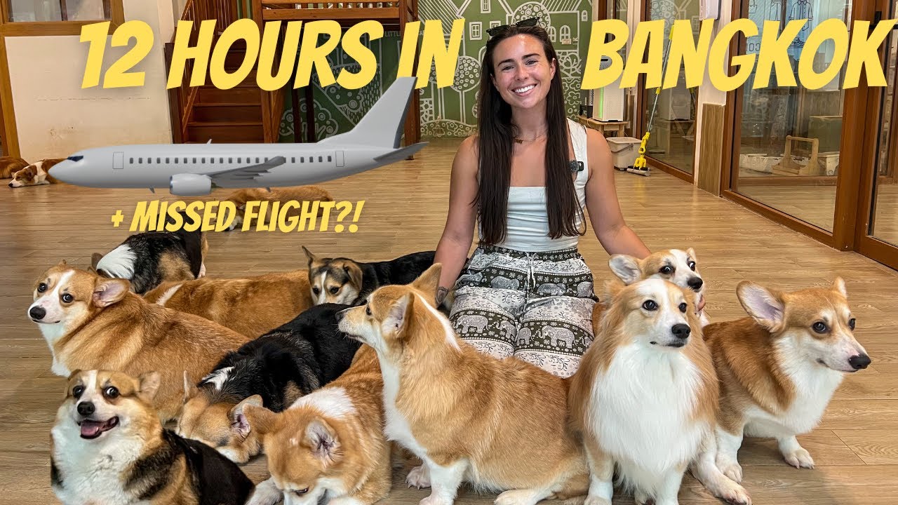 We Had 12 Hours in BANGKOK… So We Did This!