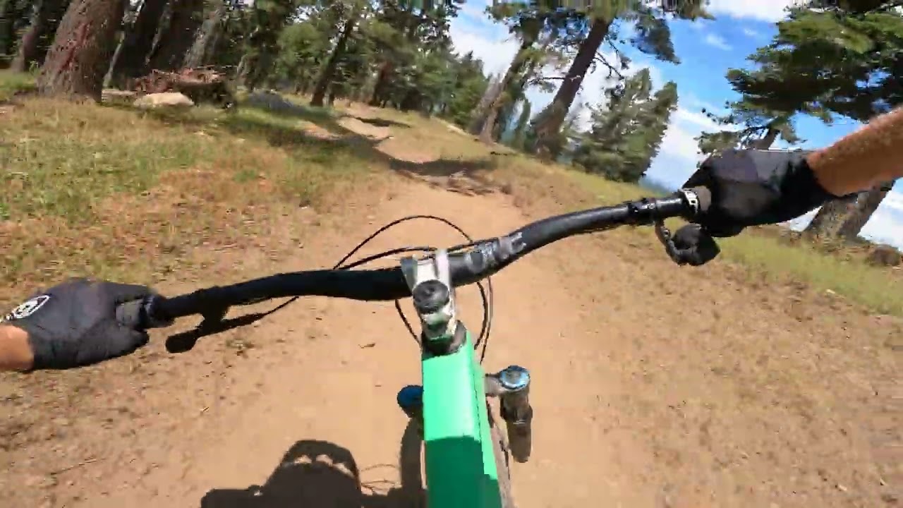 Dodge Ridge - Olympia - Trail Preview