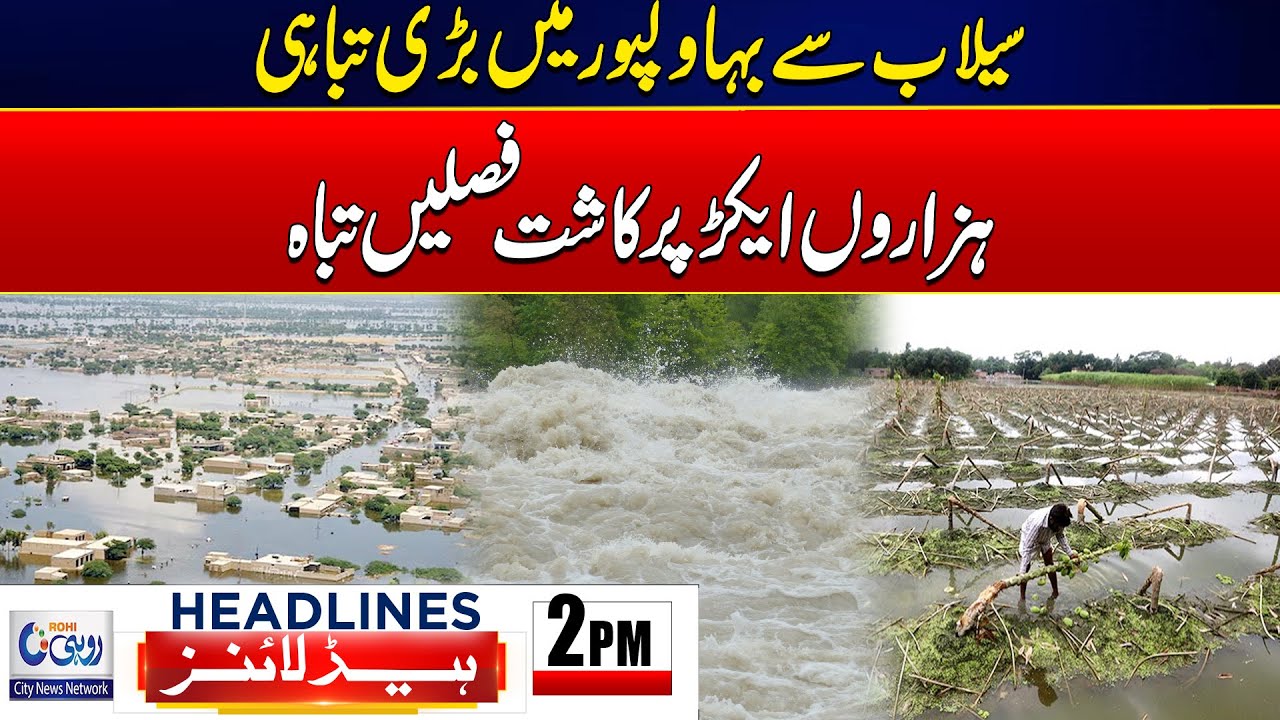 Heavy Flood Destruction In Bahawalpur ! l 2PM News Headlines l 13 Sep 2025 l Rohi