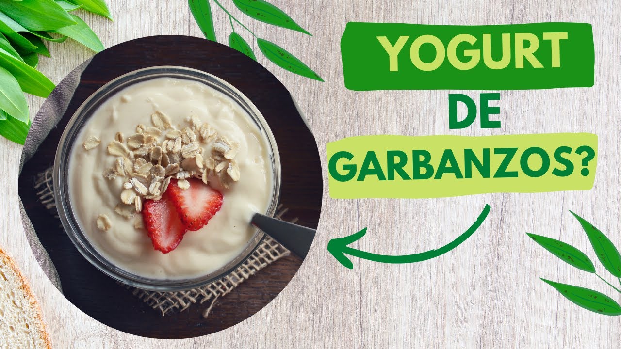 COMO HACER YOGURT DE GARBANZOS | Sin LACTOSA Sin Azúcar, Natural SALUDABLE