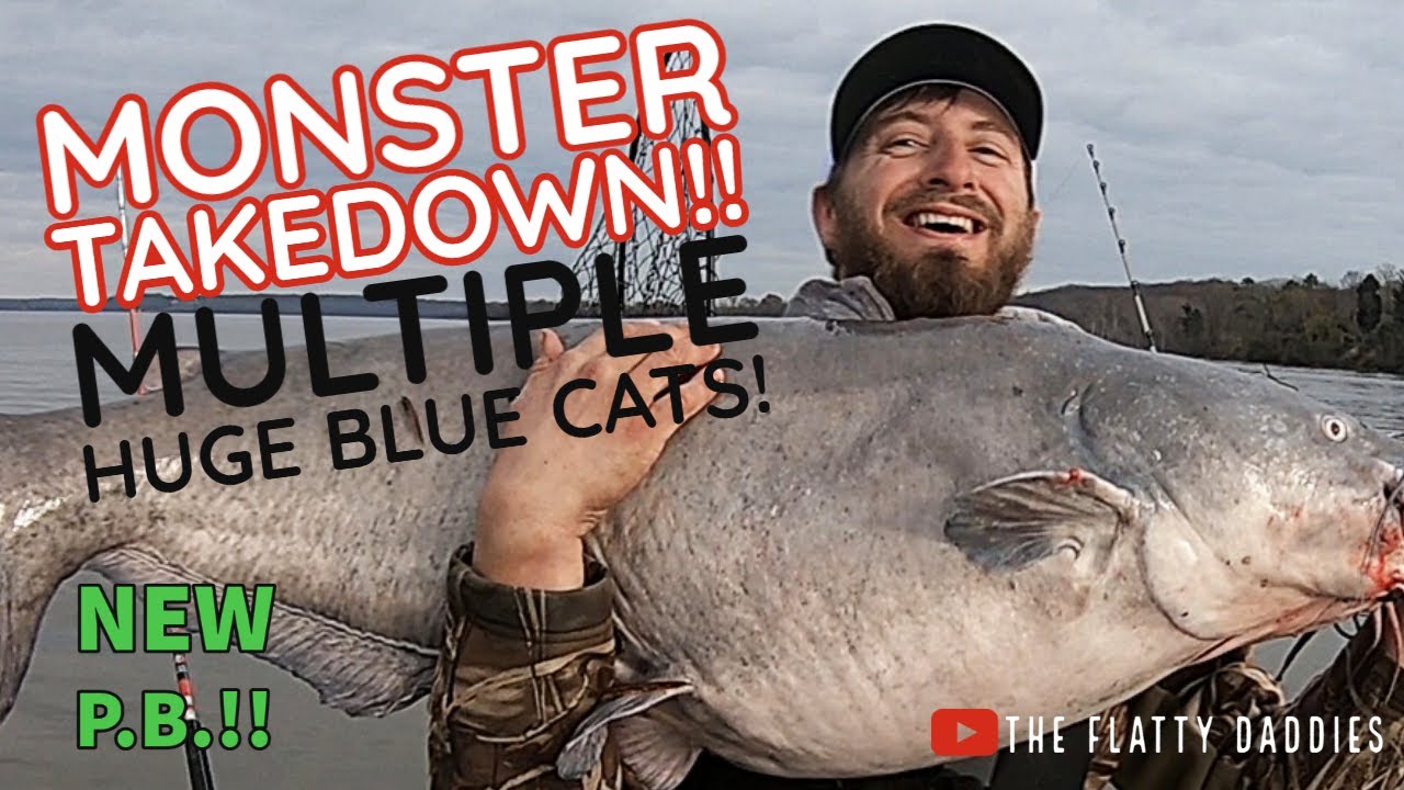 MONSTER Takedown!! Multiple Huge Blue Catfish