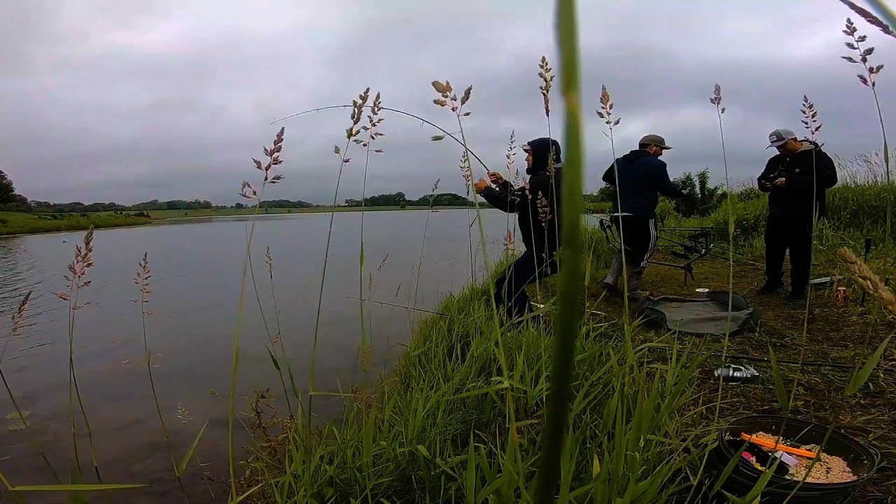 Pesca de carpa GIGANTE con masa de GELATINA!