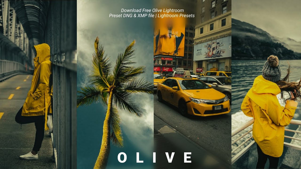Download free Lightroom Presets DNG & XMP file - OLIVE Preset free