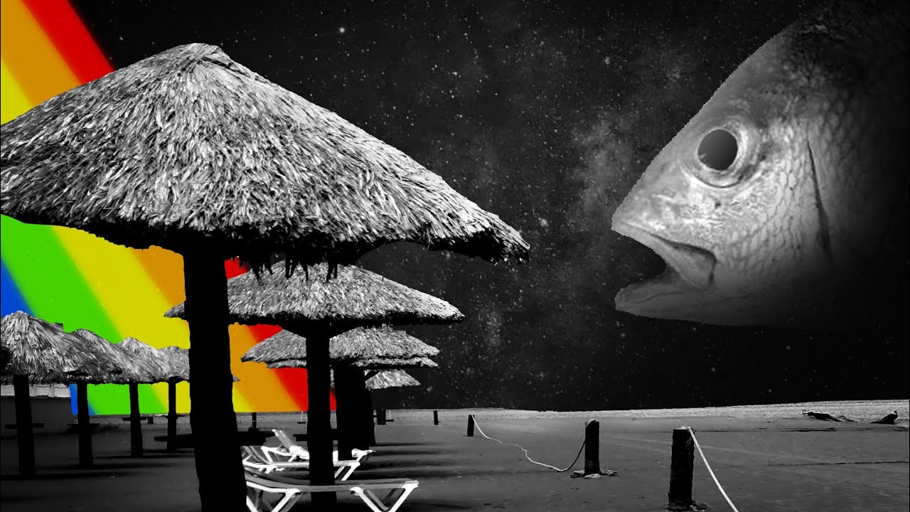 Veracruz: parte ii| album cover completo (hawaii: part ii cumbia)