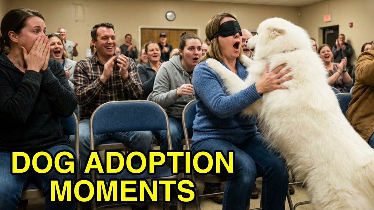 Dog Adoption Moments 2026 - Chosen With Love 