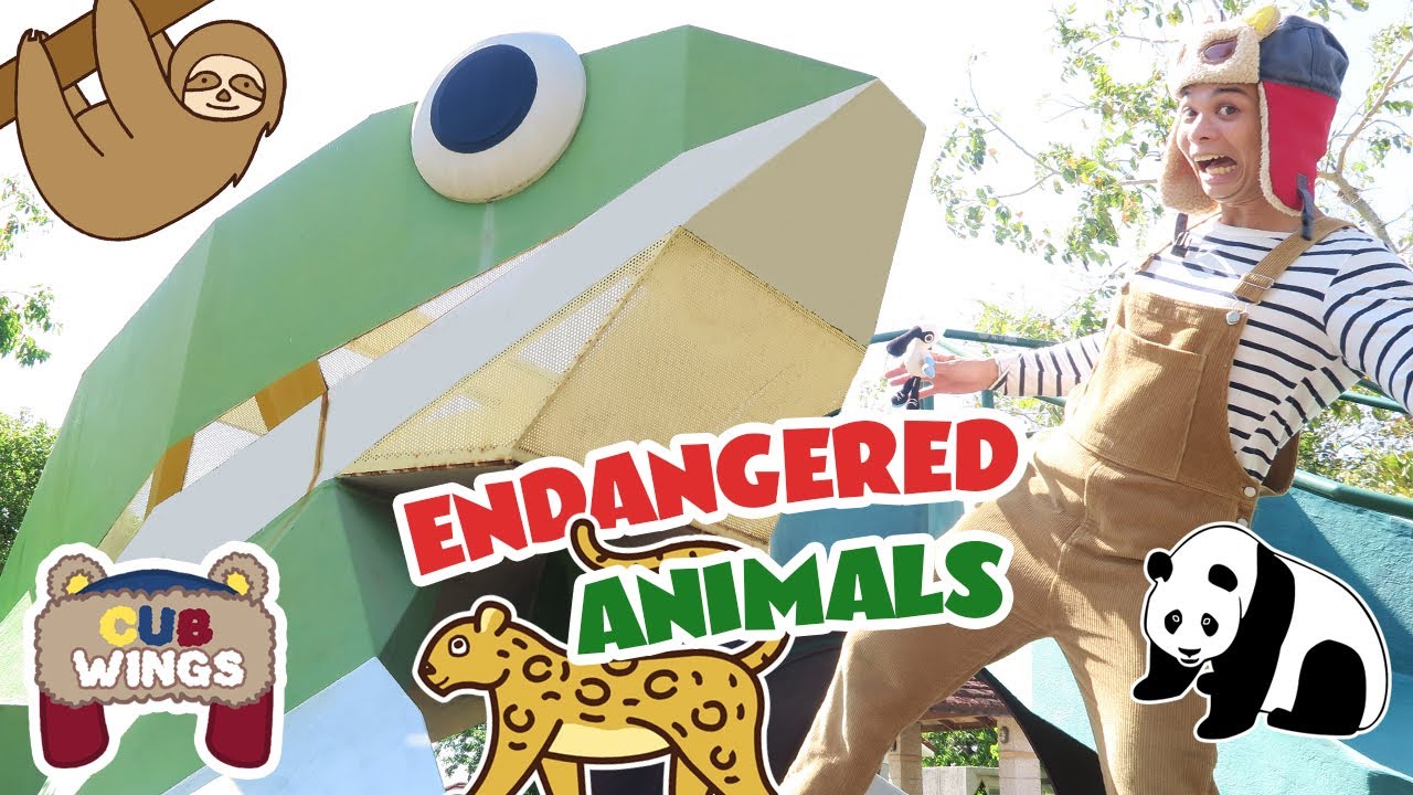 Learn About Animals in Danger of Extinction for Kids at Endangered Animals Playground | Cub Wings