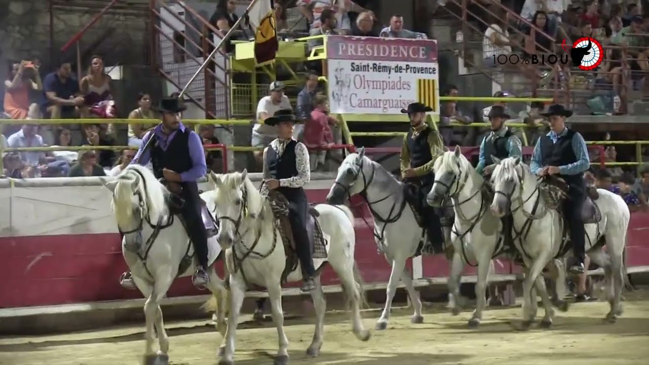 SAINT REMY DE PROVENCE (15.08.2025) - Le résumée vidéo de l'olympiade camarguaise