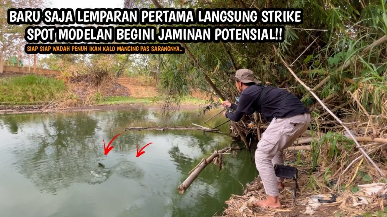 SPOT MODELAN BEGINI JAMINAN POTENSIAL!! Mancing wader teknik kumbul umpan Rasbora spot Bogowonto