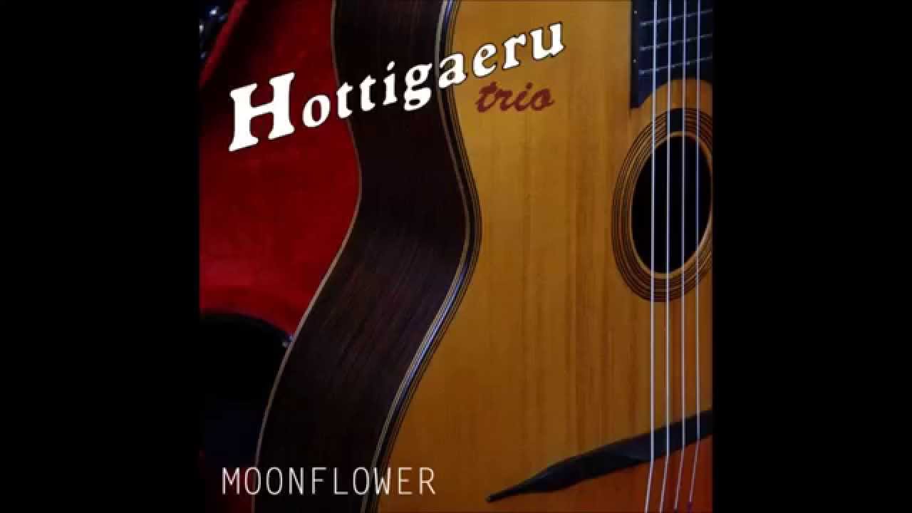Hottigaeru Trio - Moonflower (Rosenberg Trio cover)