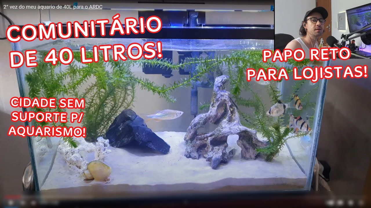 AQUÁRIO COMUNITÁRIO DE 40 LITROS COM BARBO, RAMIREZI, TRICOGASTER E MAIS!