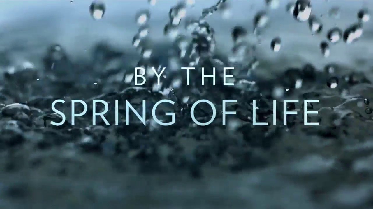 By the Spring of Life