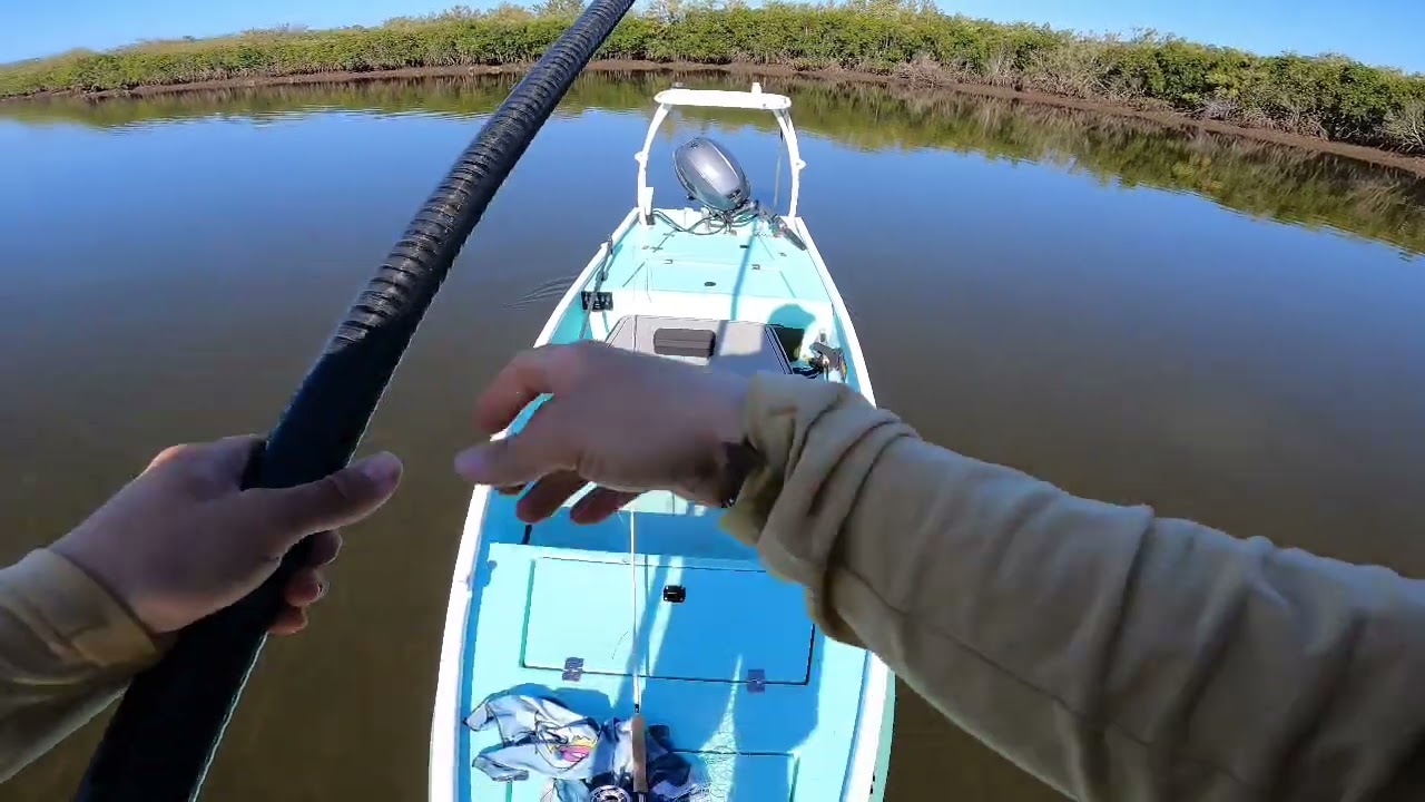 Fly fishing Florida’s Nature coast (negative tide)