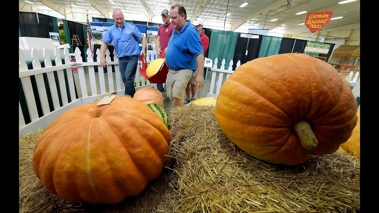 How To Move A Really Big Pumpkin At The Missouri State Fair