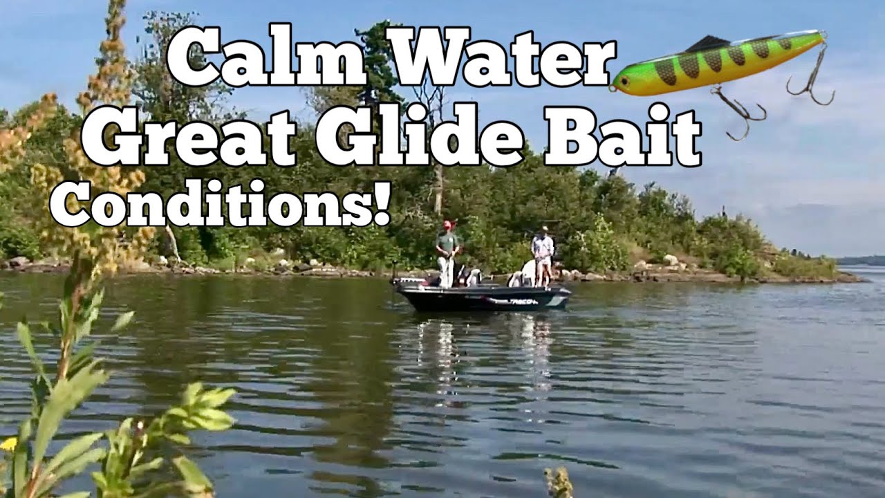 Musky! Calm Water = Great Glidebait Conditions