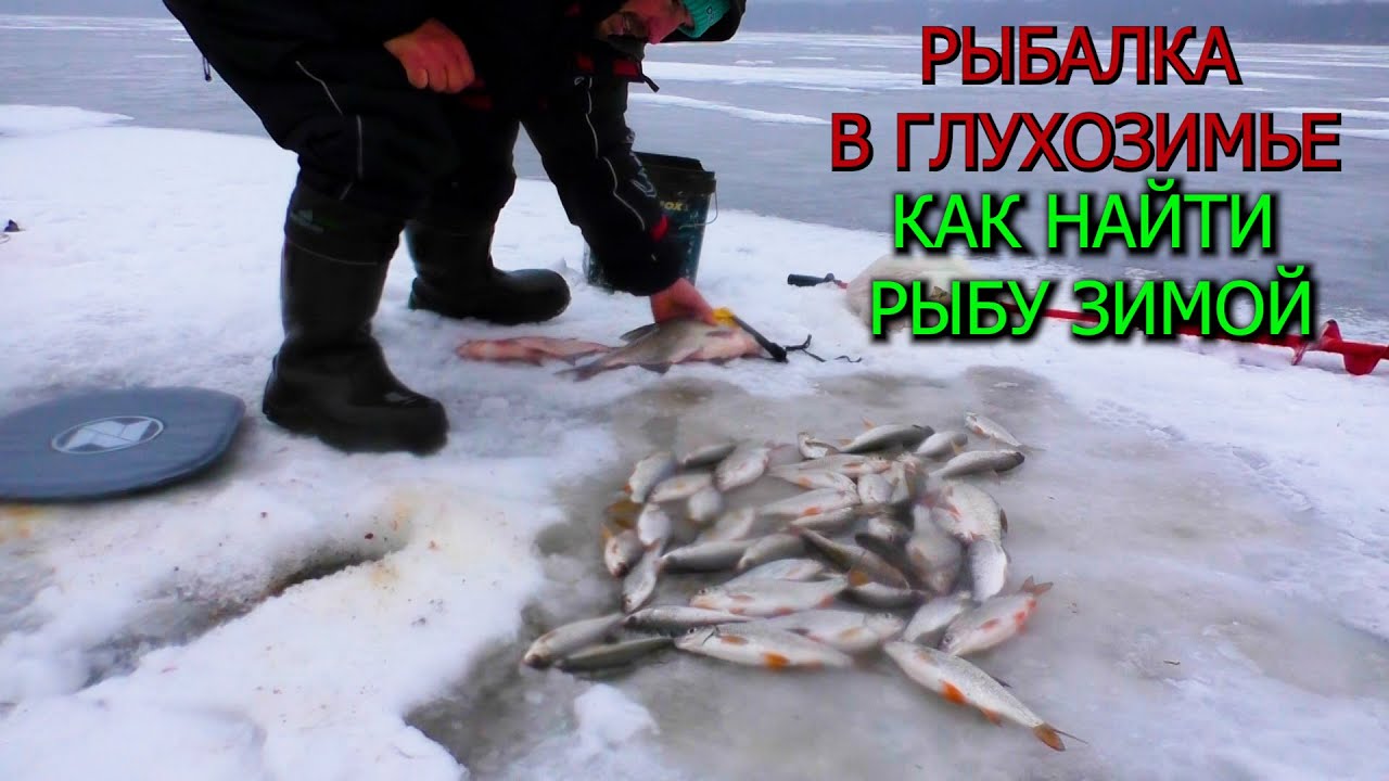 КАК НАЙТИ РЫБУ ЗИМОЙ ! Зимняя рыбалка с эхолотом Deeper. Ловля ЛЕЩА И ПЛОТВЫ зимои. РЫБАЛКА В ЯНВАРЕ