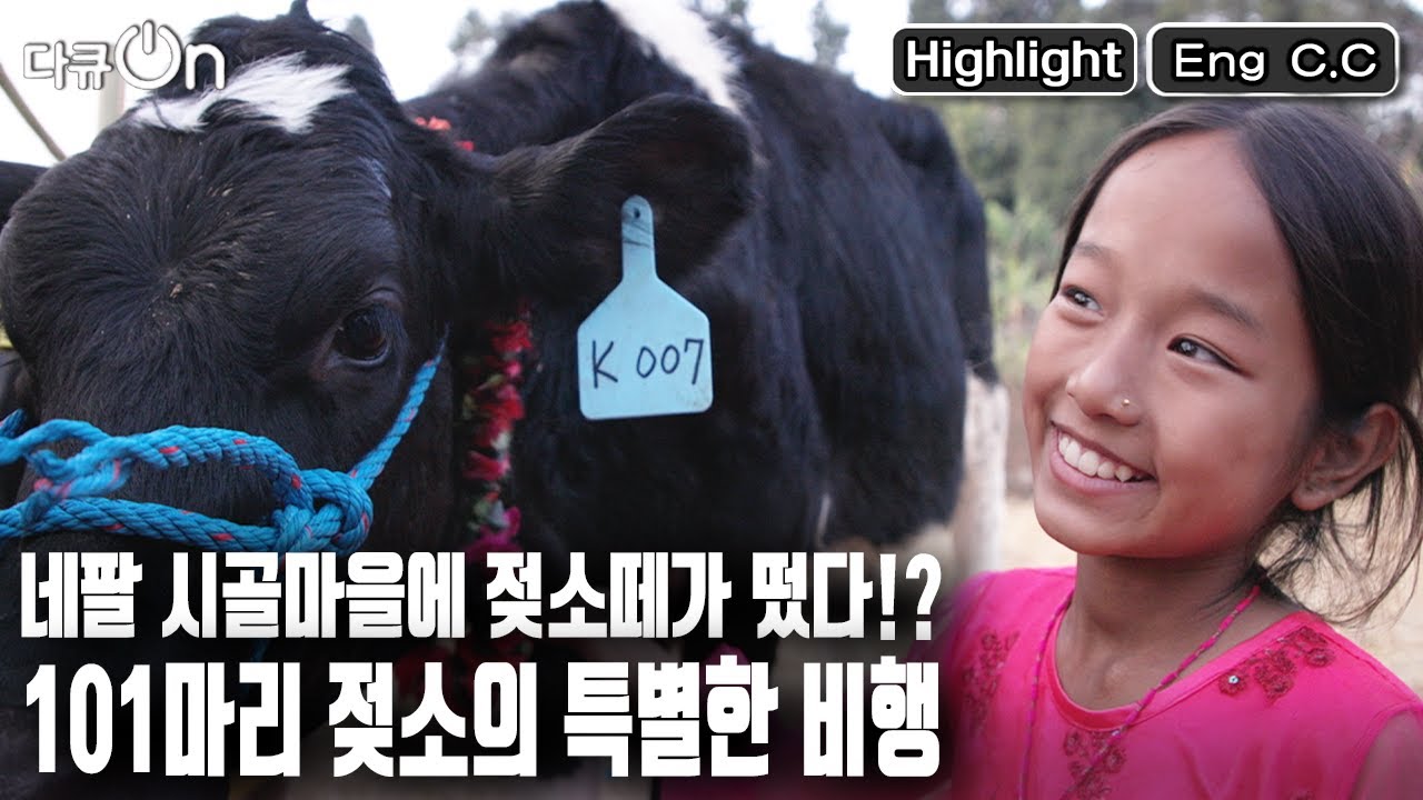 [Eng C.C] Passing on the Gift, 101 Heifers from Korea to Nepal KBS 130203