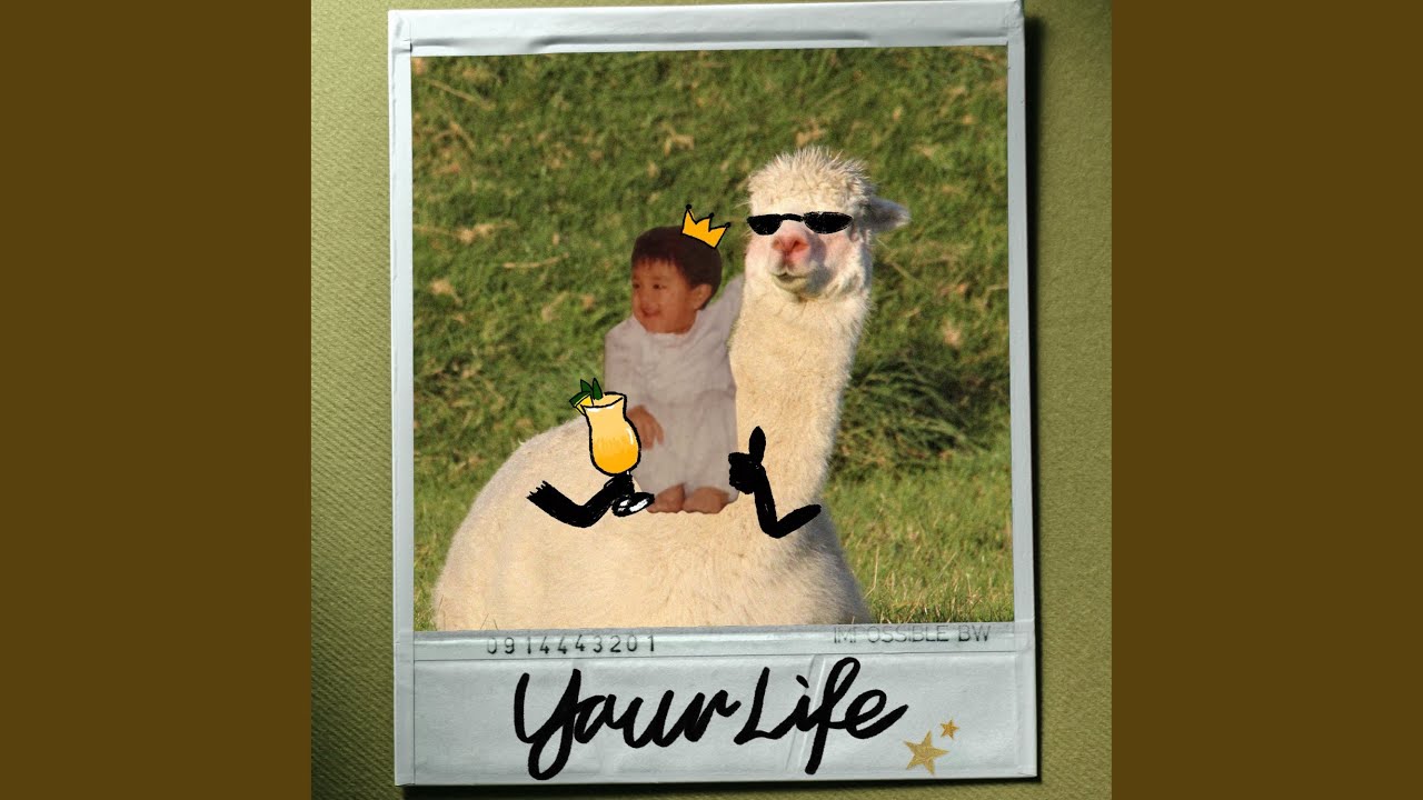 Your Life