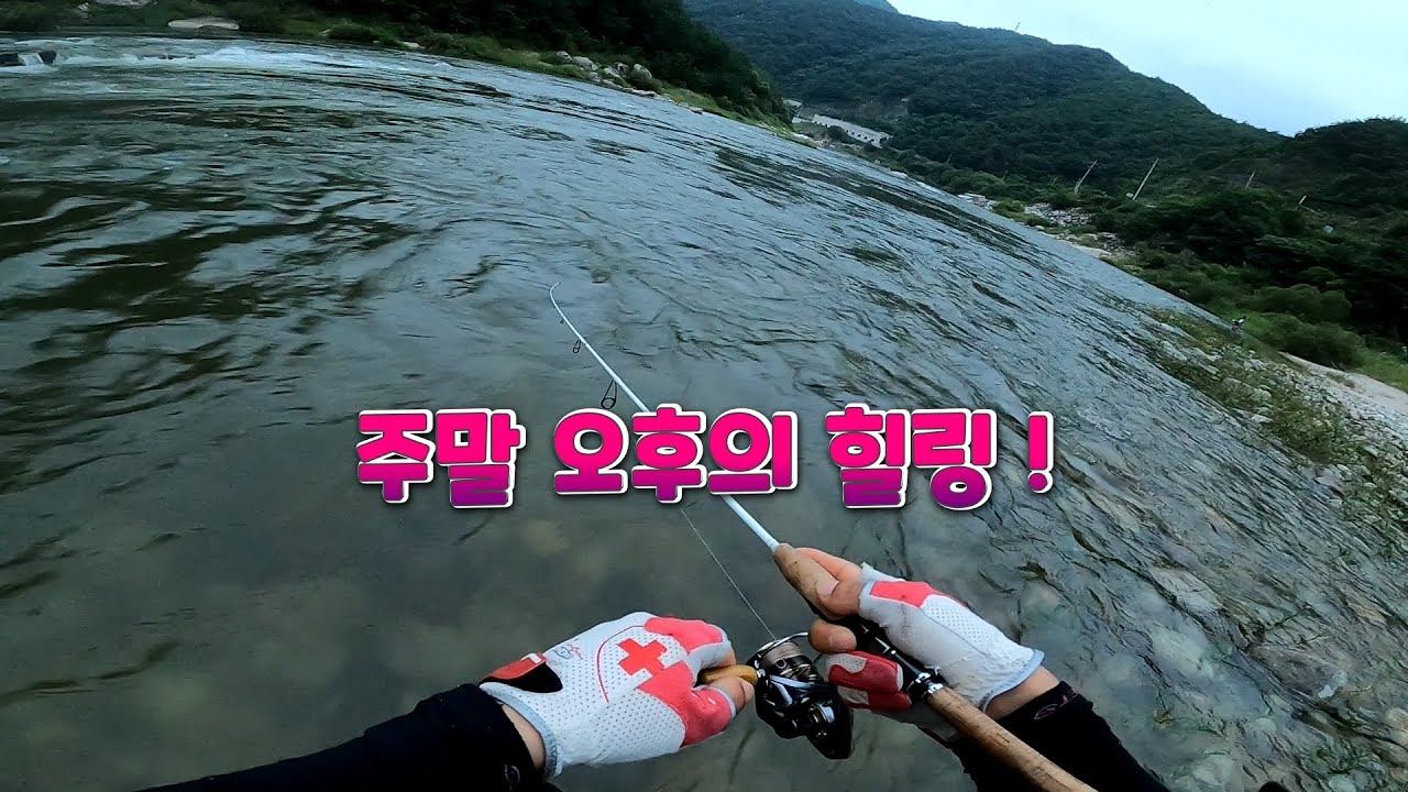 쏘가리 마릿수가 중요하지 않아요 ! 주말 오후의 힐링 EP-235