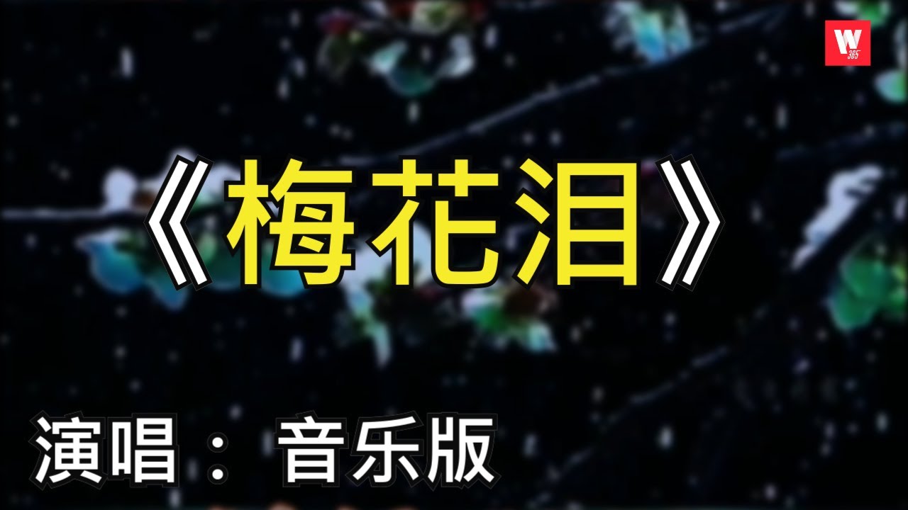 好听的音乐我爱听-梅花泪