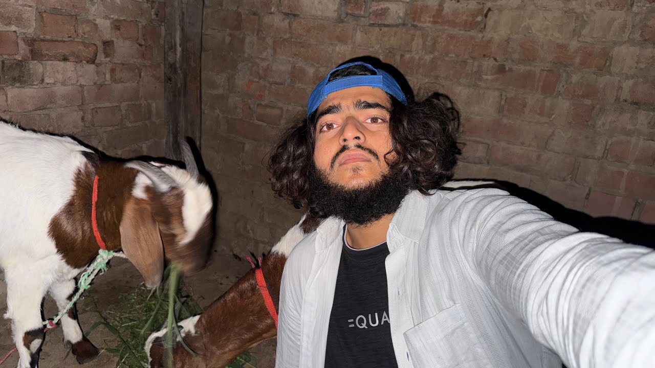 Raat 10 bje bhi mere animals ko sukoon nhi 😩aana padha😭