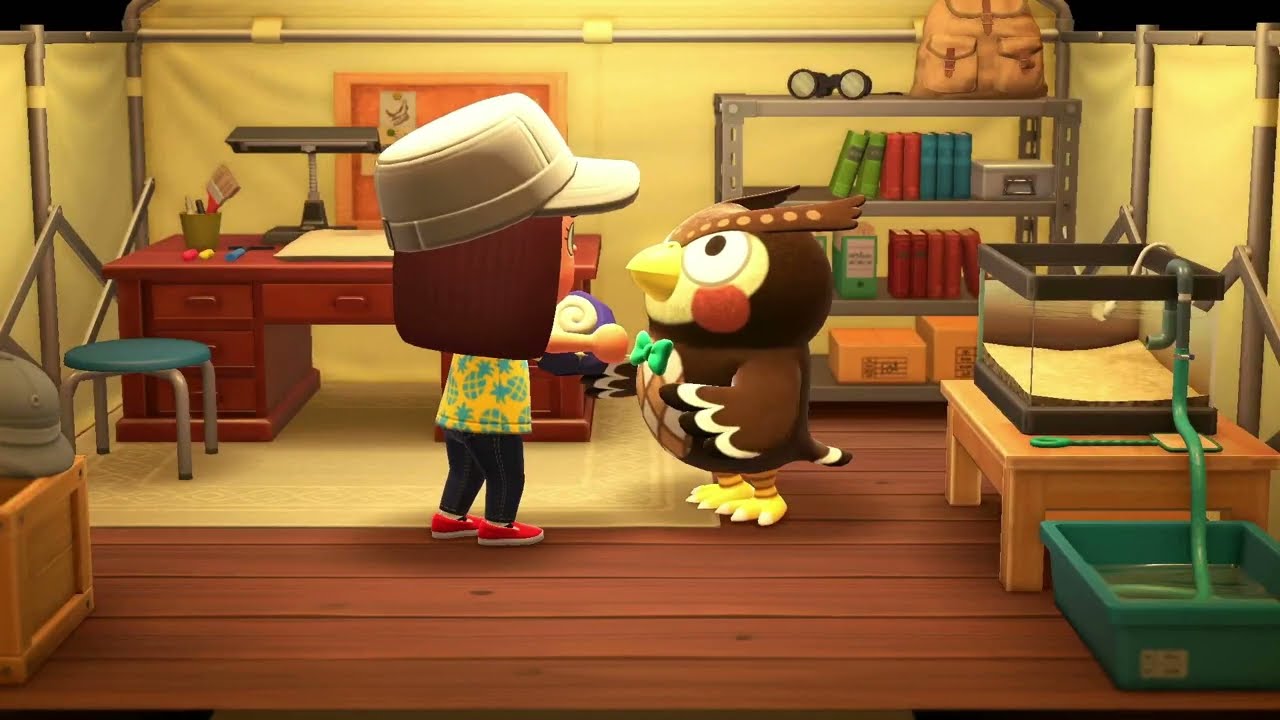 How to build a museum on Animal Crossing