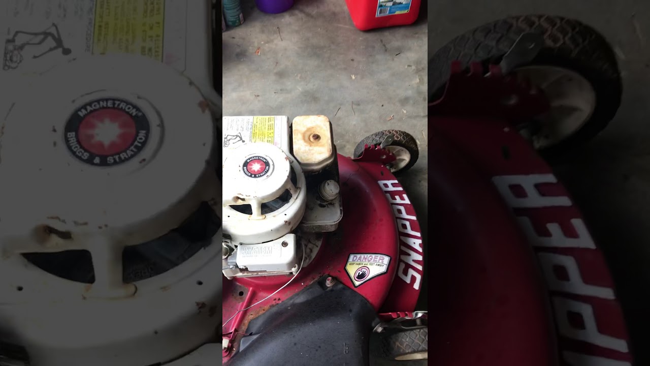 $20 Vintage snapper!