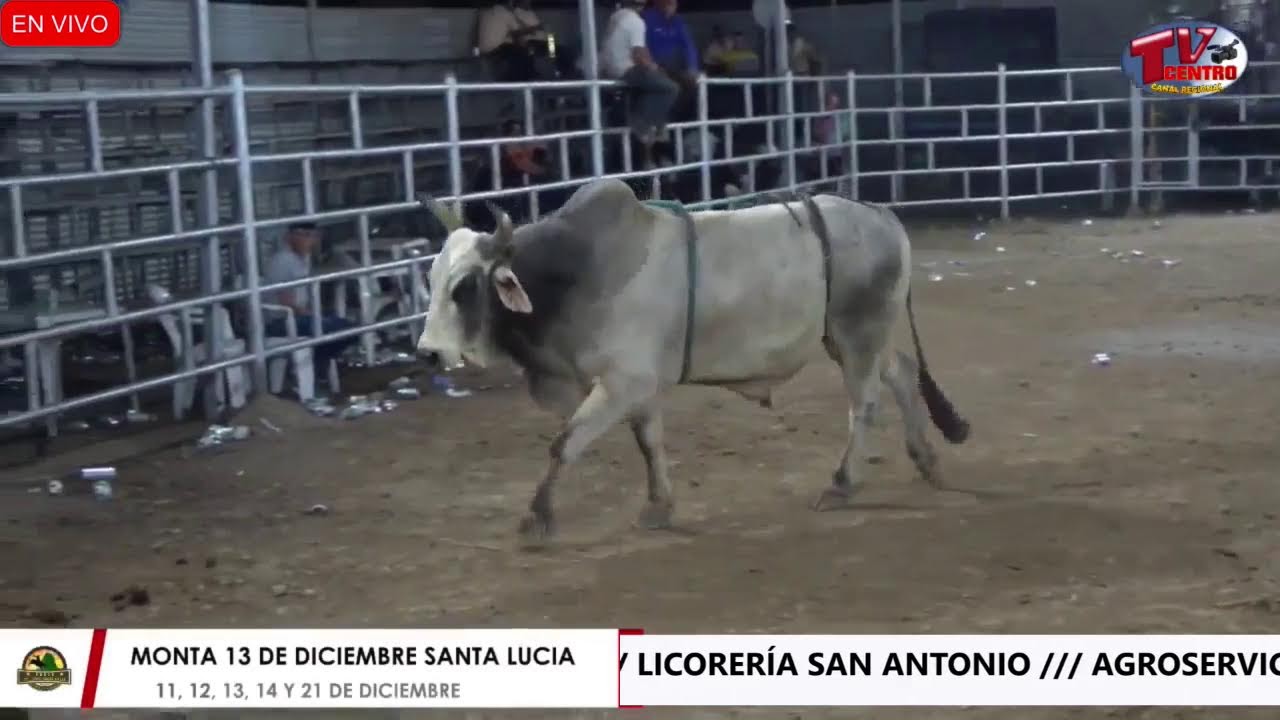FIESTAS PATRONALES - SANTA LUCIA 2025