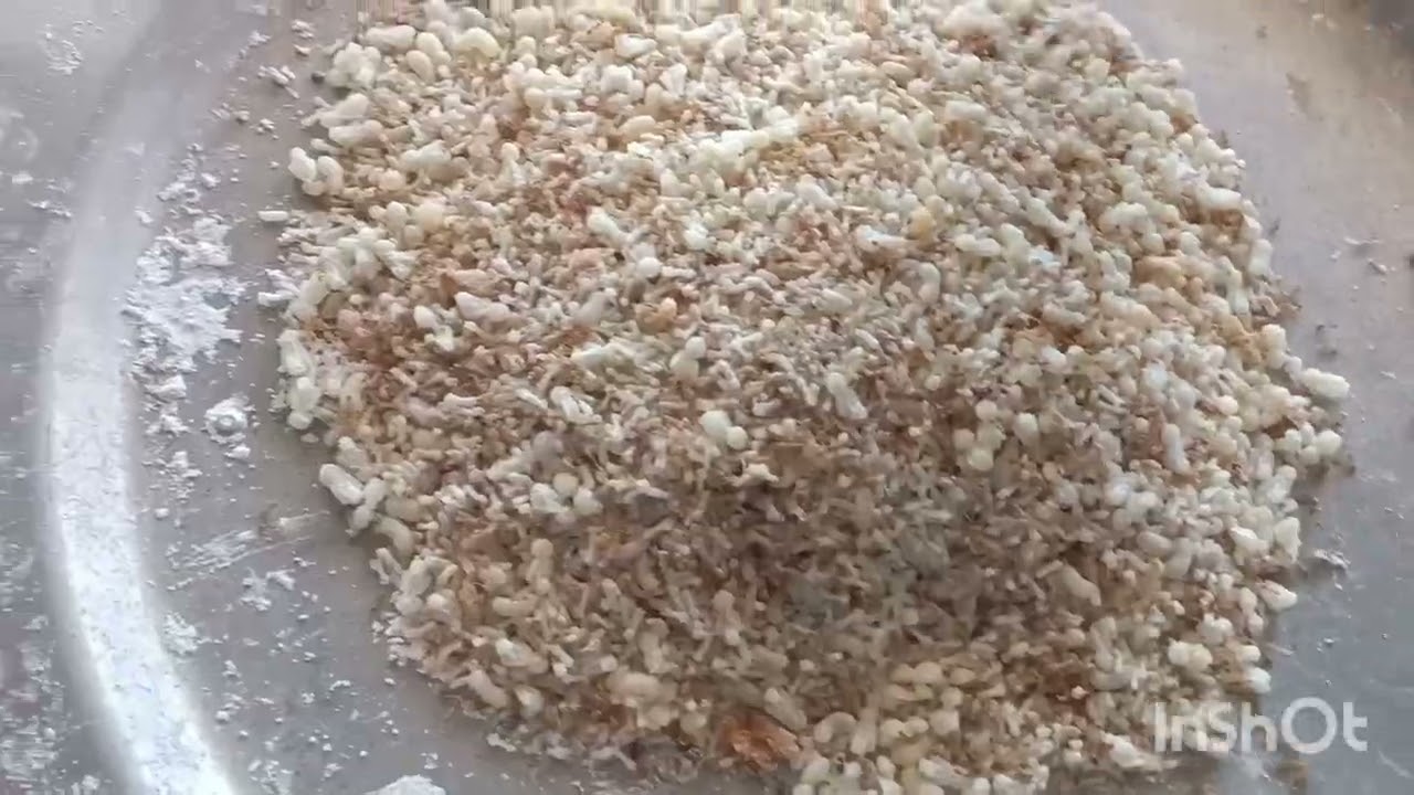 #ไปแหย่ไข่มดแดง