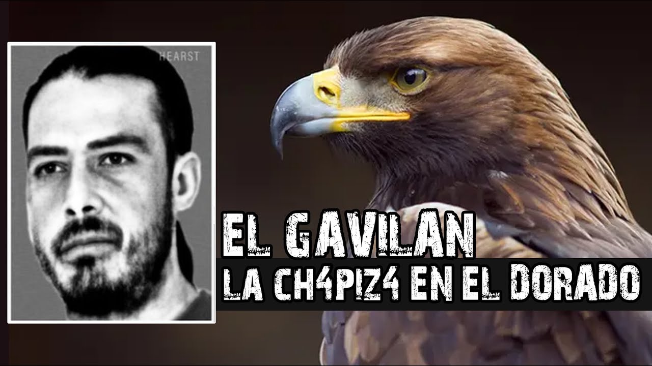 SON 4 MZ DE LOS DAMASO Y LOS TIENE EL GAVILAN  🔥
