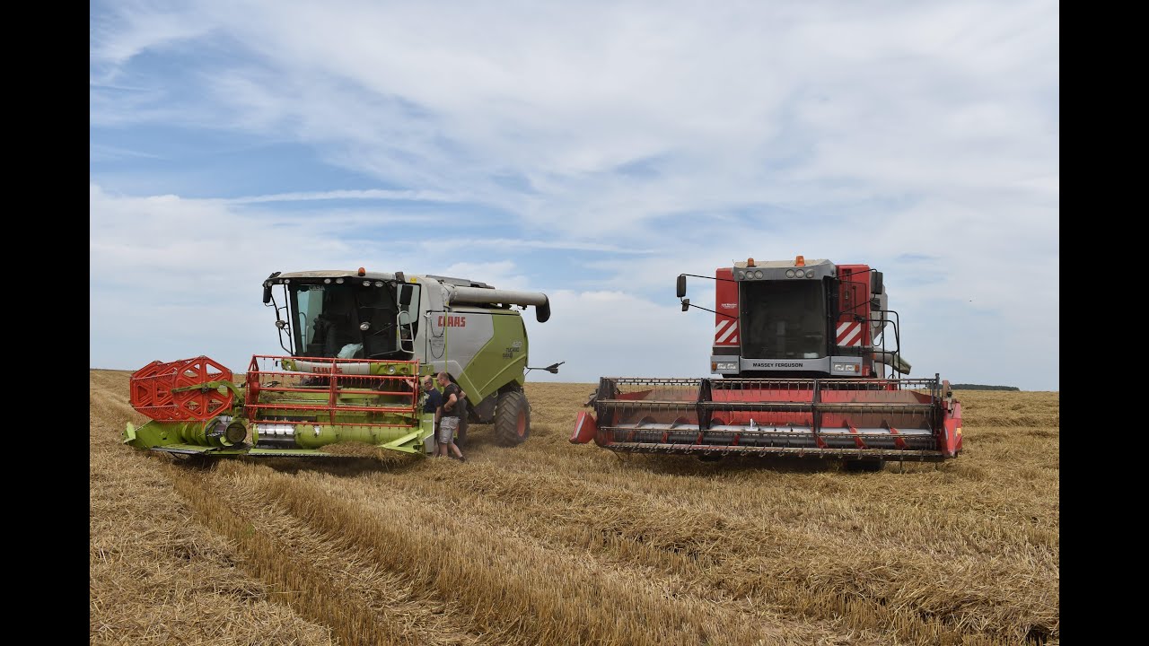 Moisson 2021 - Massey Ferguson 7256 - Tucano 420