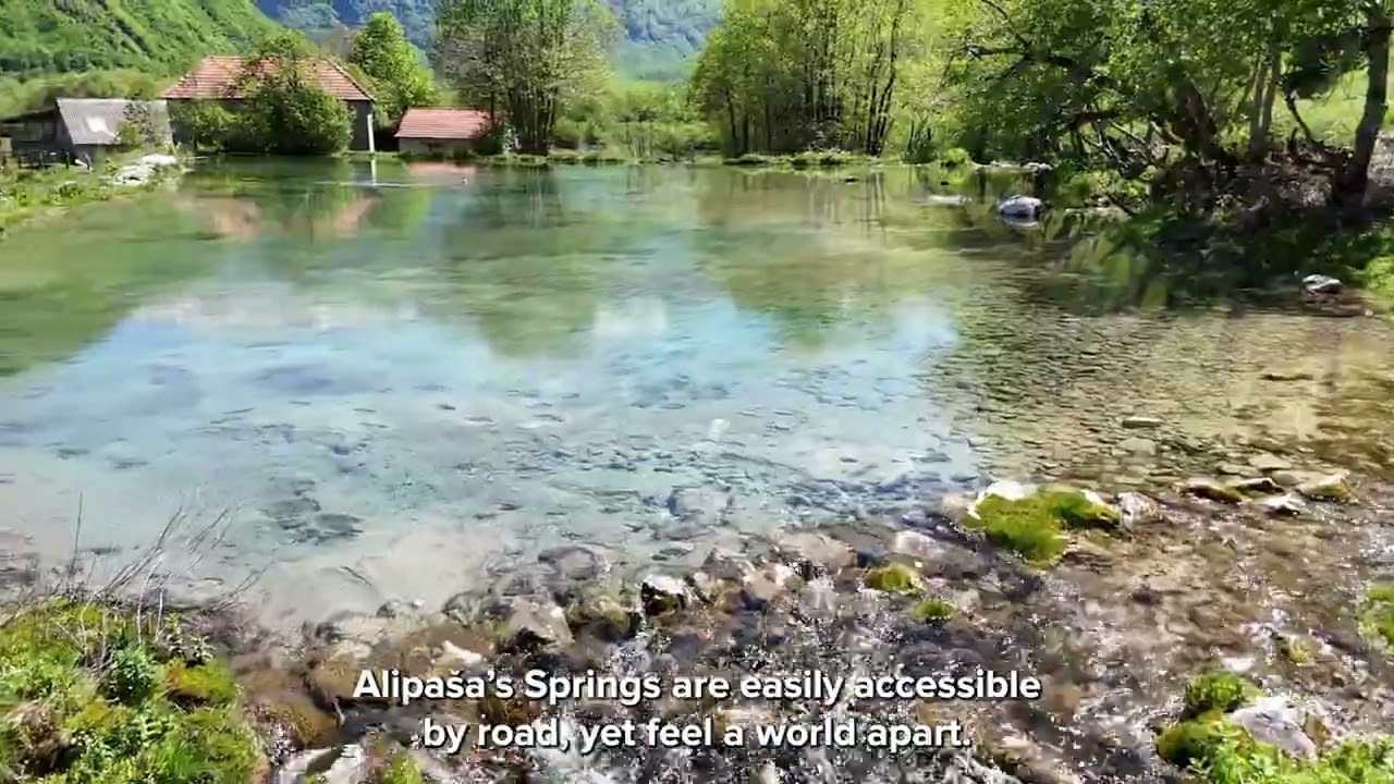 АLIPA&Scaron;A'S SPRINGS - GUSINJE ( ENG )