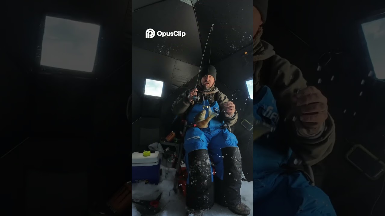 #подводное #видео #короткиевидео