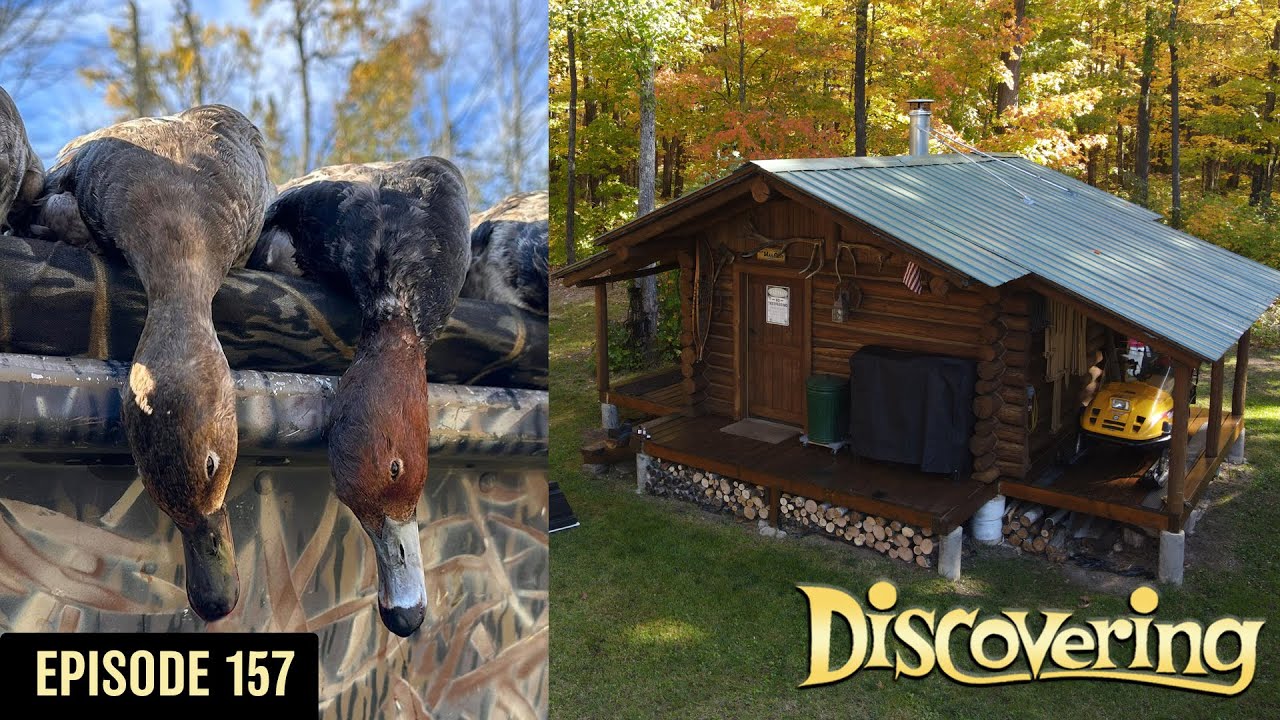 DISCOVERING | Trapper's Cabin, 906 Predator Lures, Store Safely, Diver Duck Hunt