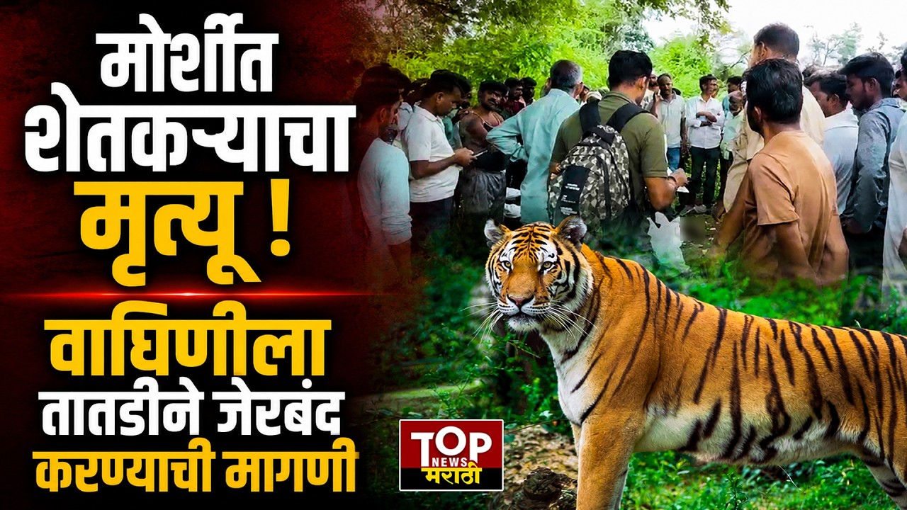 AMRAVATI TIGER NEWS : अमरावतीच्या ​मोर्शीत काय घडलं?