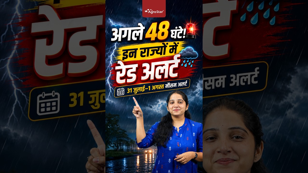 31 जुलाई&ndash;1 अगस्त मौसम अलर्ट | सबसे ज्यादा बारिश कहाँ? | Heavy Rain Alert | Weather Update | #shorts