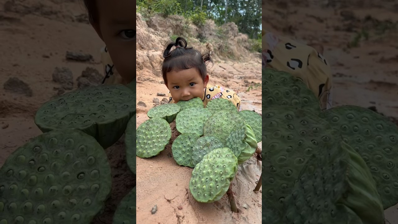 Survival Skills: Lotus Seed Skills in Forest #survival #lotus #bushcraft #viralvideo #outdoors