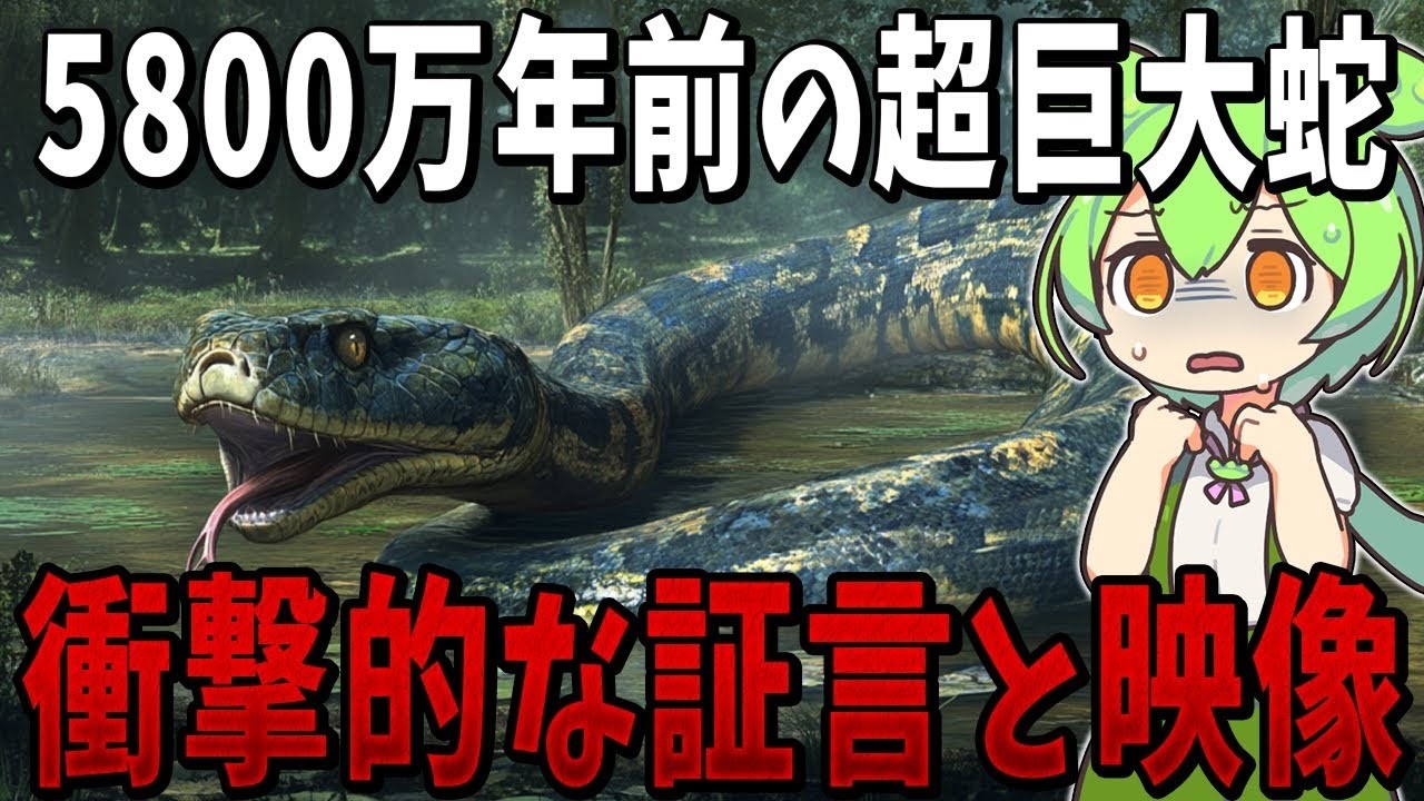 生物の謎7選！世界一大きい蛇「ティタノボア」は絶滅していなかった！？衝撃的な証言と映像の数々【総集編】