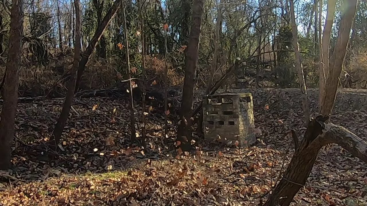 I found a Dust Devil Maker in the Woods