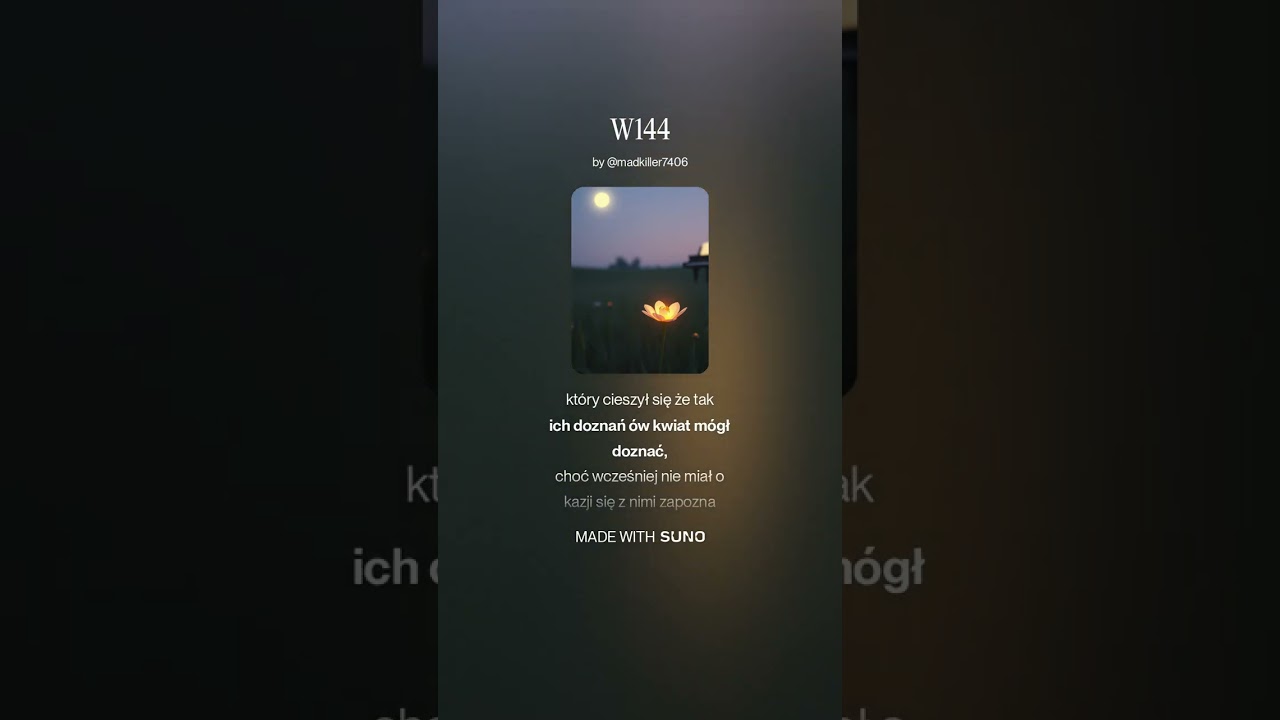 W144 24