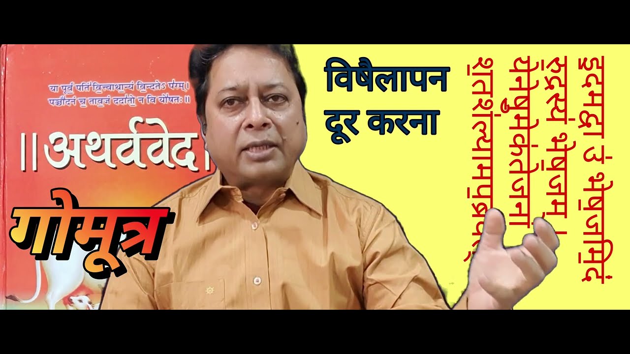 10 लीटर गोमूत्र का आश्चर्यजनक उपयोग इससे फसलों पर रसायन का असर कम करना तथा गुणवत्ता बढ़ाना#OWDC