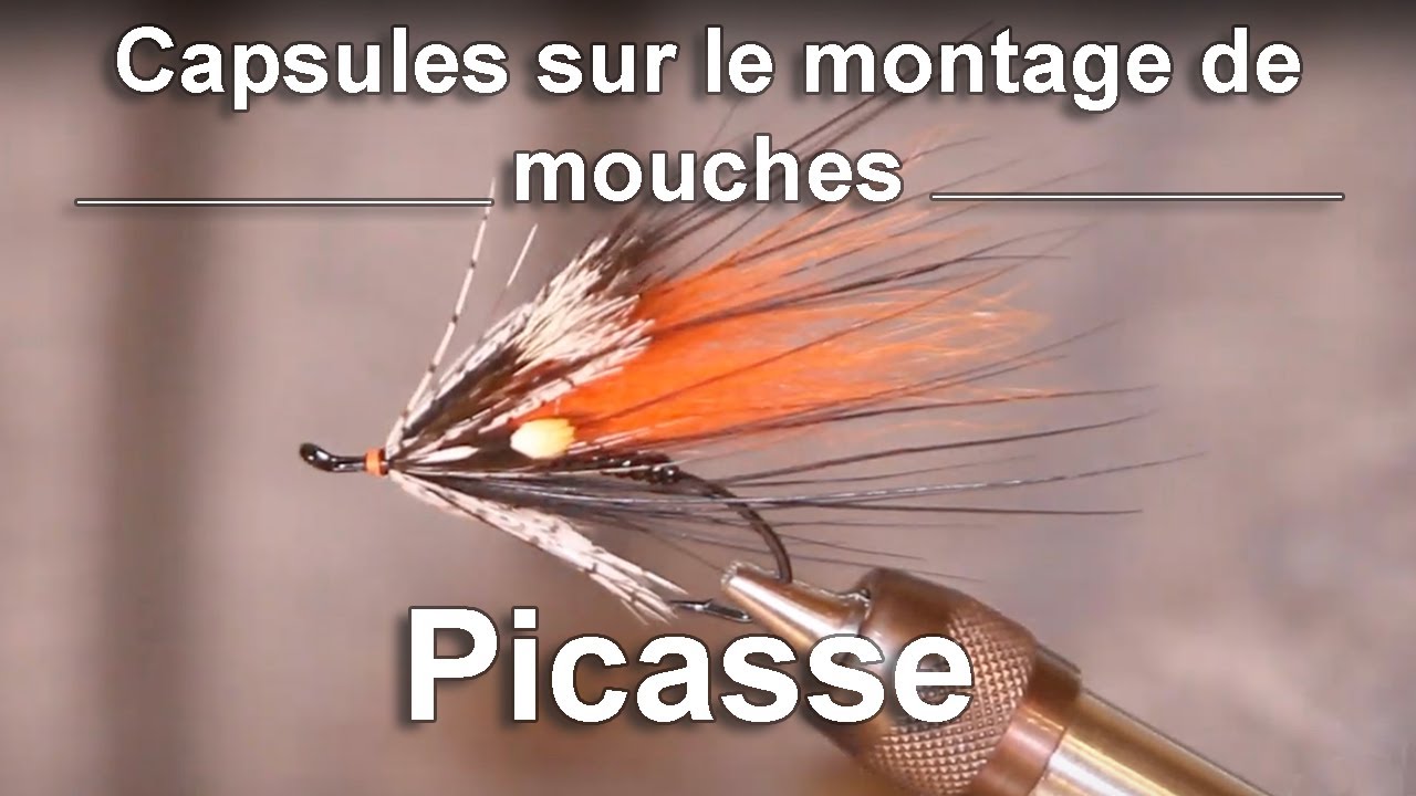 36- Picasse orange HD