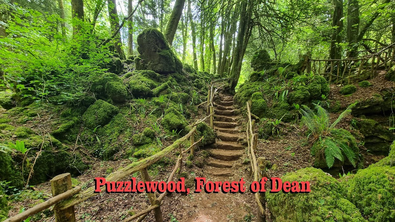 Puzzlewood, Gloucestershire, Forest of Dean, Uk, 4K