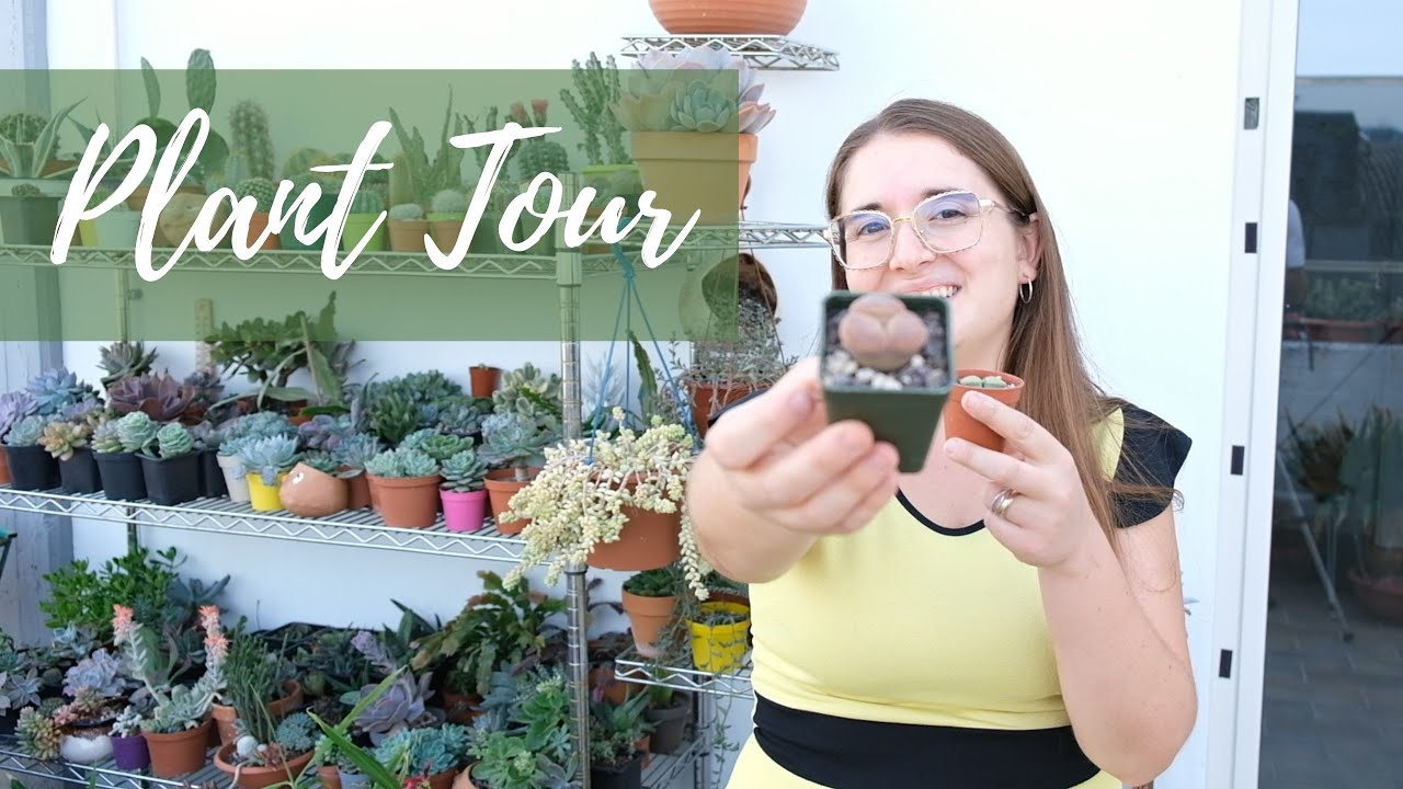 PLANT TOUR PIANTE GRASSE DEL TERRAZZO | versione estiva
