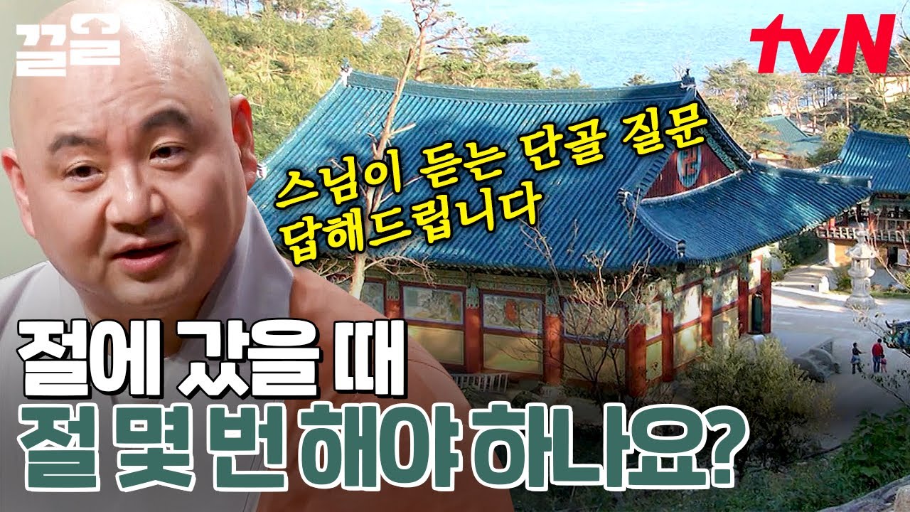 유쾌한 입담의 성진 스님이 진행하는 무물😉 이제부터 절 가서 안절부절 하지 않고 스님 말씀 따르기🤙 | 어쩌다어른