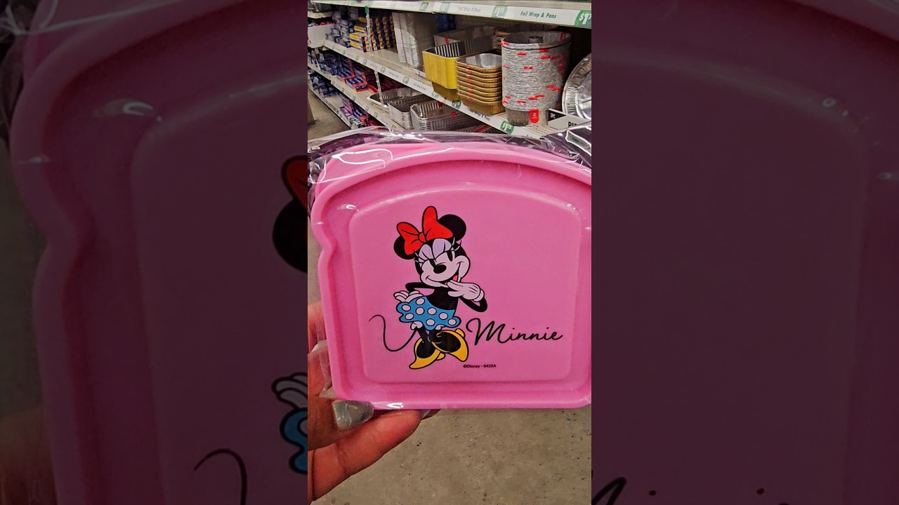 New Disney Sandwich Containers At Dollar Tree #dollartree #dollartreehaul #Disney #shopping