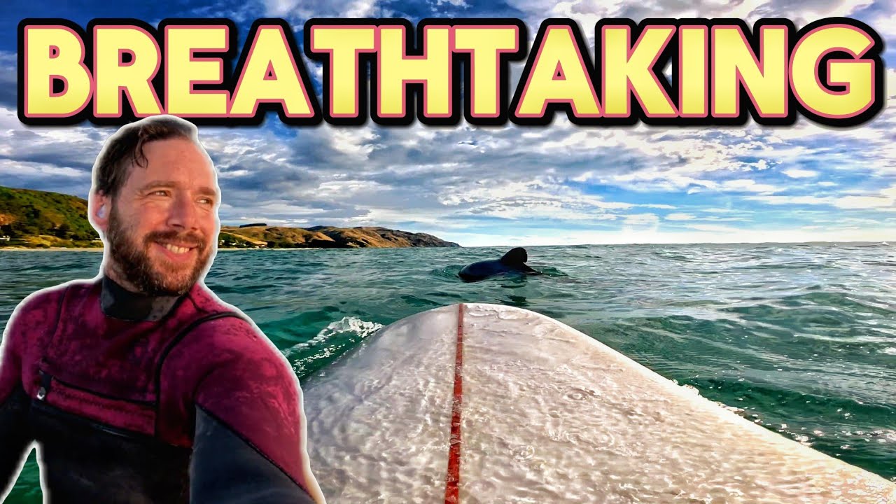 UNFORGETTABLE DOLPHIN ENCOUNTER & EPIC DAWN SURF | POV Surf NZ