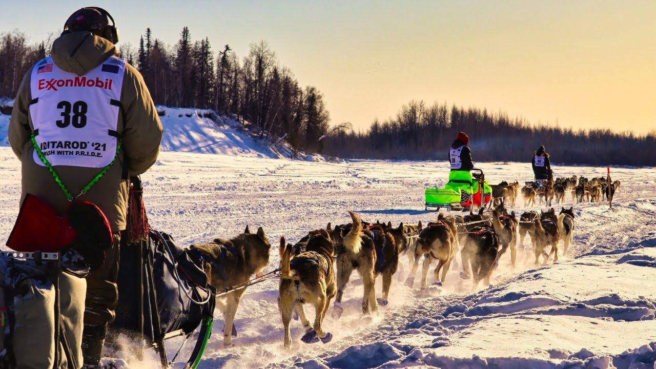 Cabin Trip Fail + 2021 Iditarod | Highs & Lows Living in Alaska