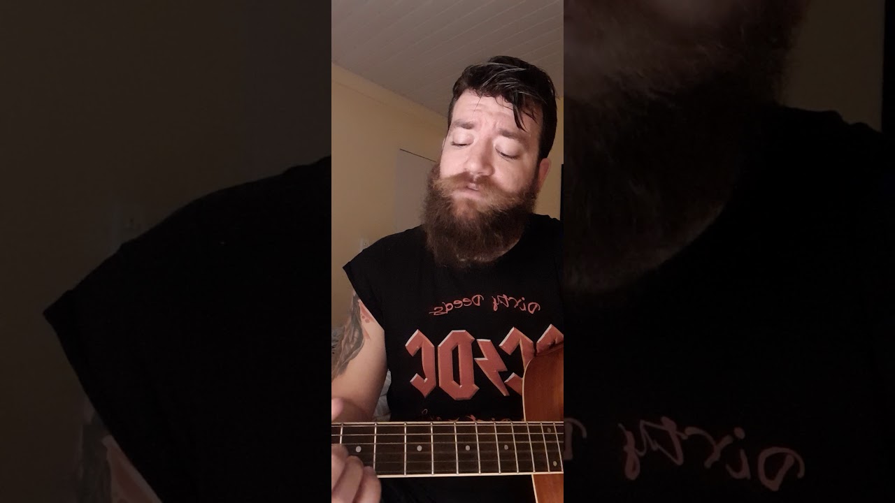 Hurt - Johnny Cash ( COVER ) by Vinny Fist