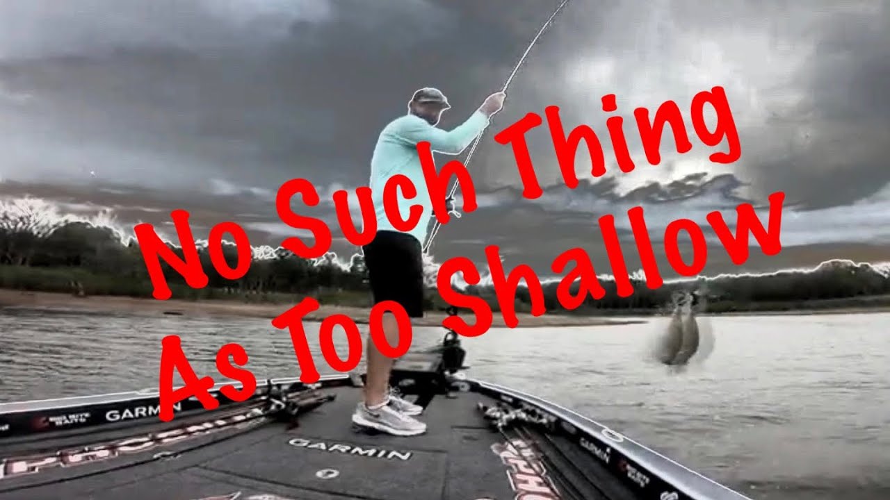 Shallow Water Fishing In Late Summer