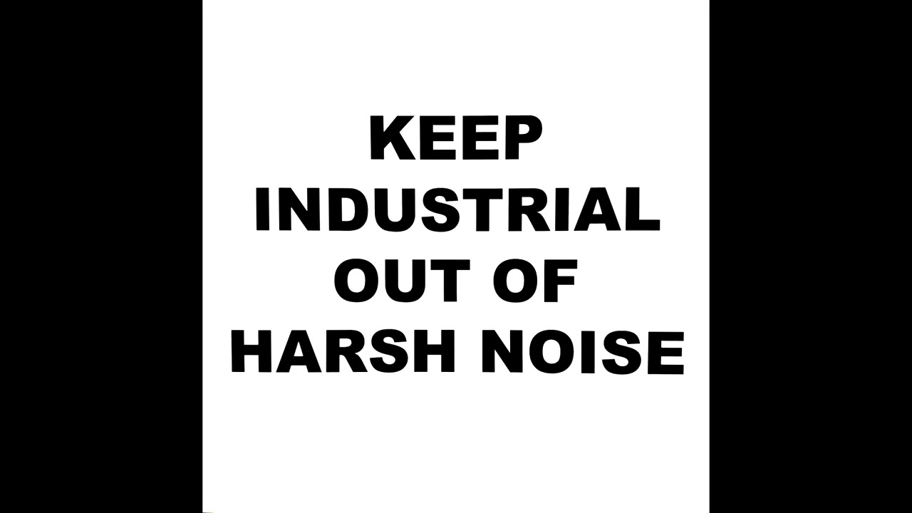 The Rita / Treriksr&ouml;set - KEEP INDUSTRIAL OUT OF HARSH NOISE (Vinyl Rip)